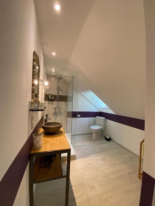 Chambres D'Hotes Le Petit Roche آرك-إيه-سونو المظهر الخارجي الصورة